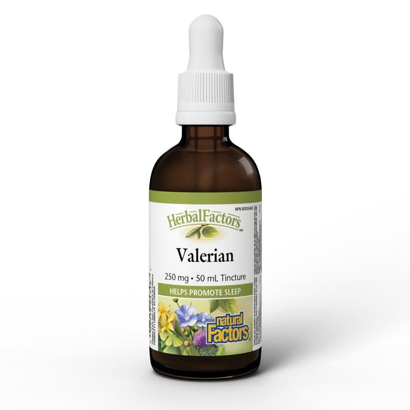 Natural Factors Valerian  250 mg  50 mL Tincture