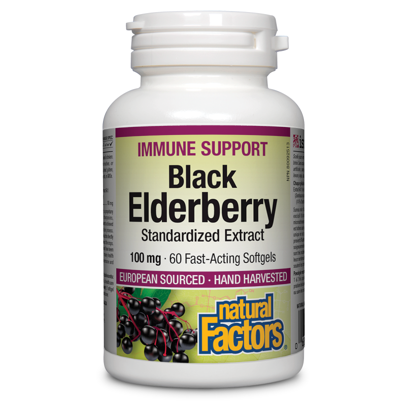 Natural Factors Black Elderberry  Standardized Extract   100 mg  60 Softgels