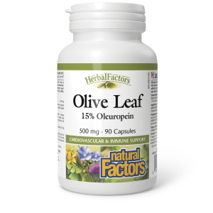 Natural Factors Olive Leaf  500 mg  90 Capsules