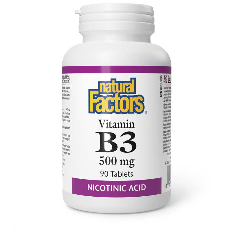 Natural Factors Vitamin B3  500 mg  90 Tablets