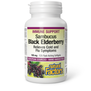 Natural Factors Black Elderberry  Standardized Extract   100 mg  120 Softgels