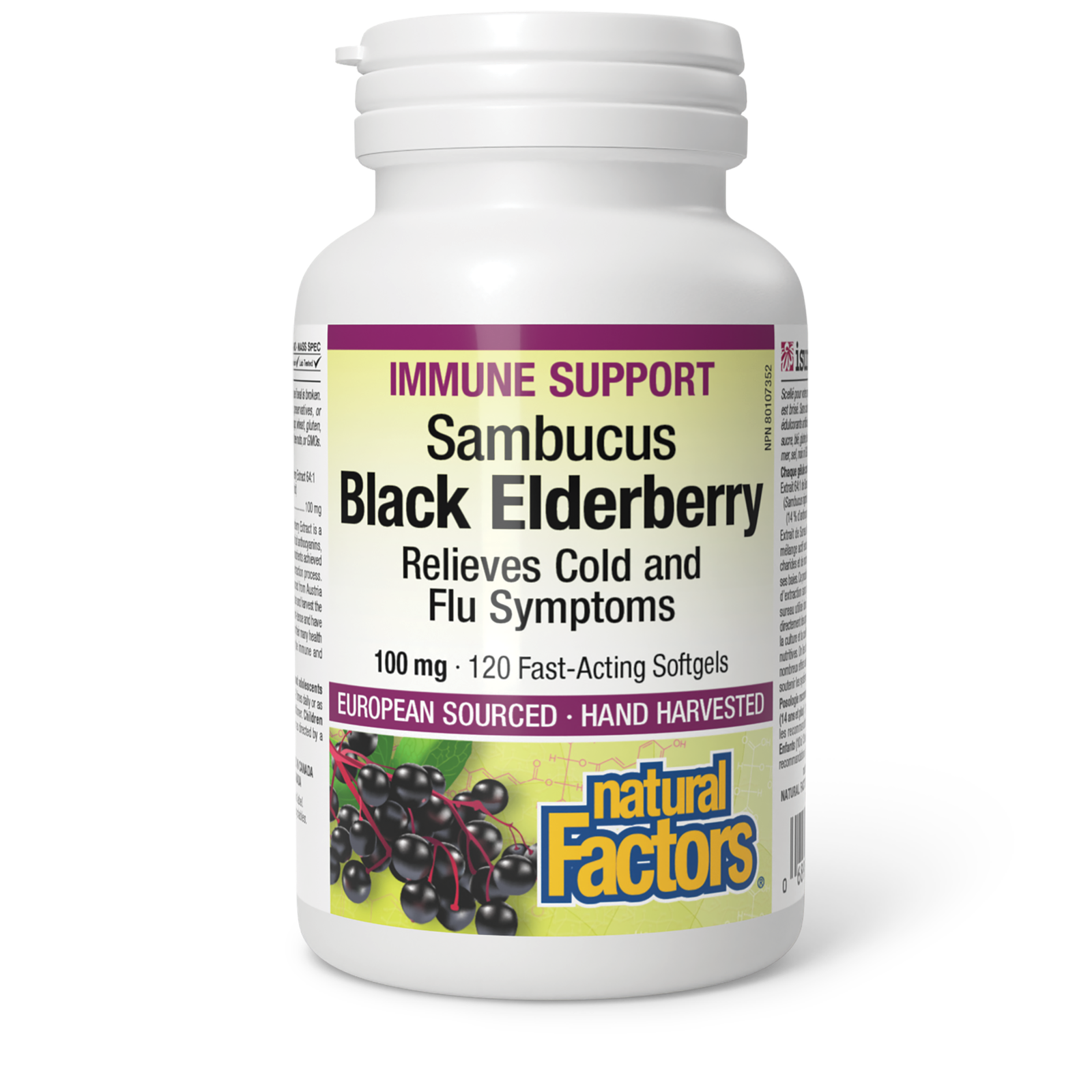 Natural Factors Black Elderberry Standardized Extract 100 mg 120 Softgels