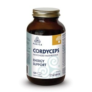 Cordyceps
