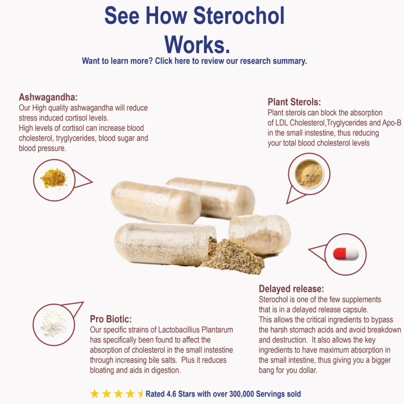 Sterochol - Image 2