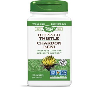 Blessed Thistle