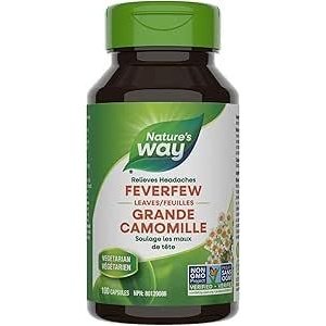 Feverfew